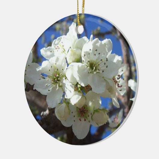 Witte bloesem Clusters Spring Flowering Pear Tree Keramisch Ornament (Links)