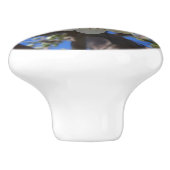 Witte bloesem Clusters Spring Flowering Pear Tree Keramische Knop (Zijkant)