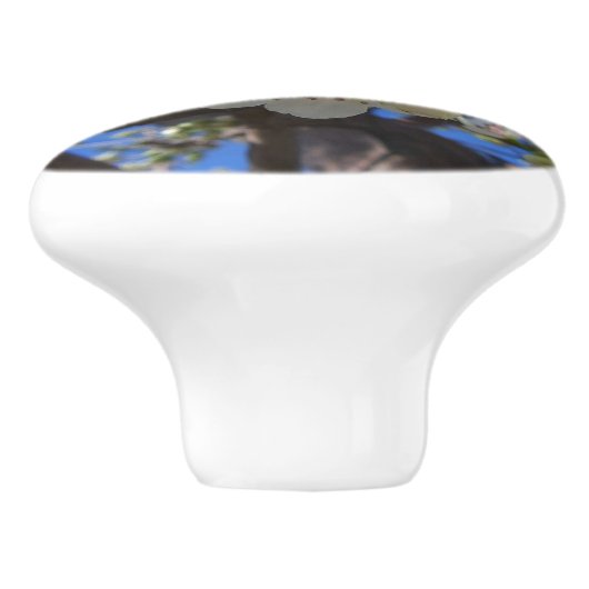 Witte bloesem Clusters Spring Flowering Pear Tree Keramische Knop (Zijkant)