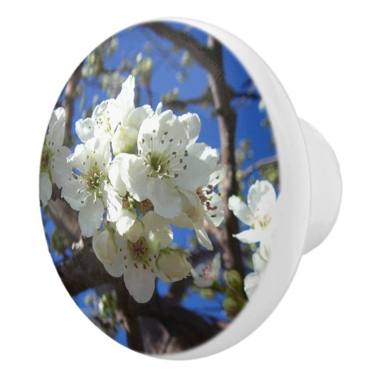 Witte bloesem Clusters Spring Flowering Pear Tree Keramische Knop (Rechts)