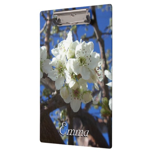 Witte bloesem Clusters Spring Flowering Pear Tree Klembord (Links)