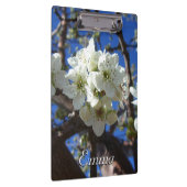 Witte bloesem Clusters Spring Flowering Pear Tree Klembord (Rechts)