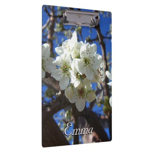 Witte bloesem Clusters Spring Flowering Pear Tree Klembord (Rechts)