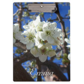 Witte bloesem Clusters Spring Flowering Pear Tree Klembord (Voorkant)