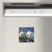 Witte bloesem Clusters Spring Flowering Pear Tree Magneet (Insitu (Vaatwasser))