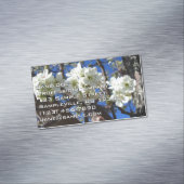 Witte bloesem Clusters Spring Flowering Pear Tree Magnetisch Visitekaartje (Voorbeeld)