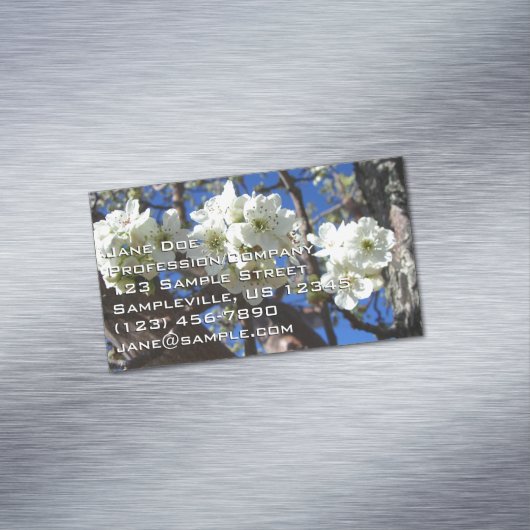 Witte bloesem Clusters Spring Flowering Pear Tree Magnetisch Visitekaartje (Voorbeeld)