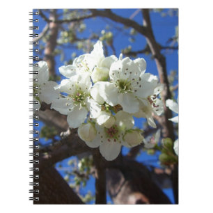 Witte bloesem Clusters Spring Flowering Pear Tree Notitieboek