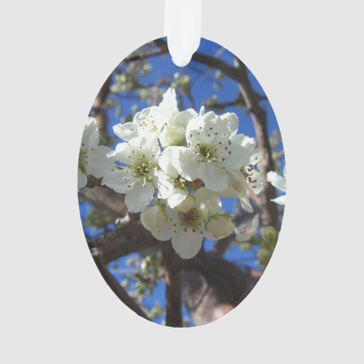 Witte bloesem Clusters Spring Flowering Pear Tree Ornament (achterkant)