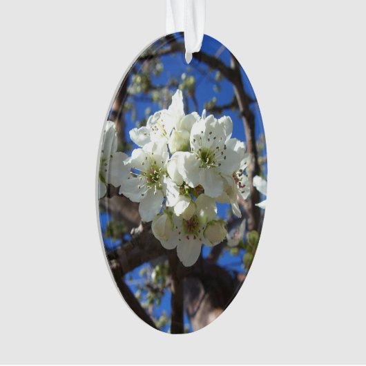 Witte bloesem Clusters Spring Flowering Pear Tree Ornament (voorkant)