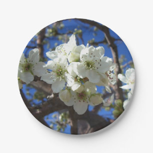 Witte bloesem Clusters Spring Flowering Pear Tree Papieren Bordje