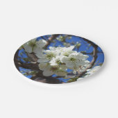 Witte bloesem Clusters Spring Flowering Pear Tree Papieren Bordje (Gekanteld)