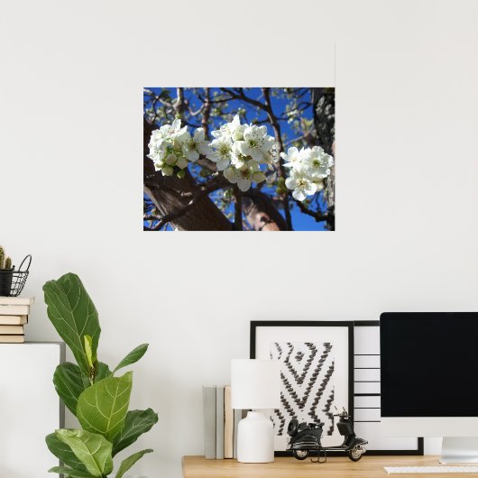Witte bloesem Clusters Spring Flowering Pear Tree Poster (Thuiskantoor)