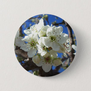 Witte bloesem Clusters Spring Flowering Pear Tree Ronde Button 5,7 Cm