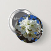 Witte bloesem Clusters Spring Flowering Pear Tree Ronde Button 5,7 Cm (Voorkant /achterkant)