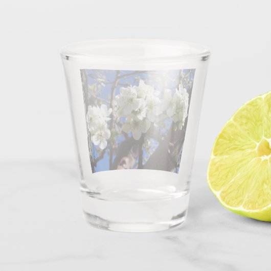 Witte bloesem Clusters Spring Flowering Pear Tree Shot Glas (Achterkant)