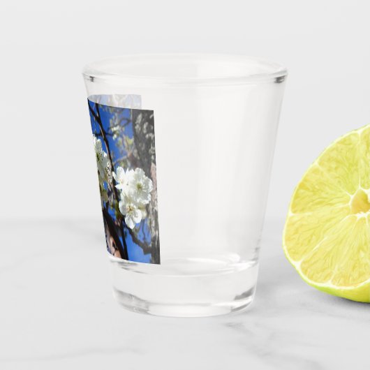 Witte bloesem Clusters Spring Flowering Pear Tree Shot Glas (Rechts)