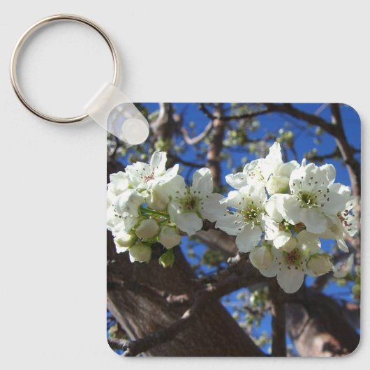 Witte bloesem Clusters Spring Flowering Pear Tree Sleutelhanger (Voorkant)