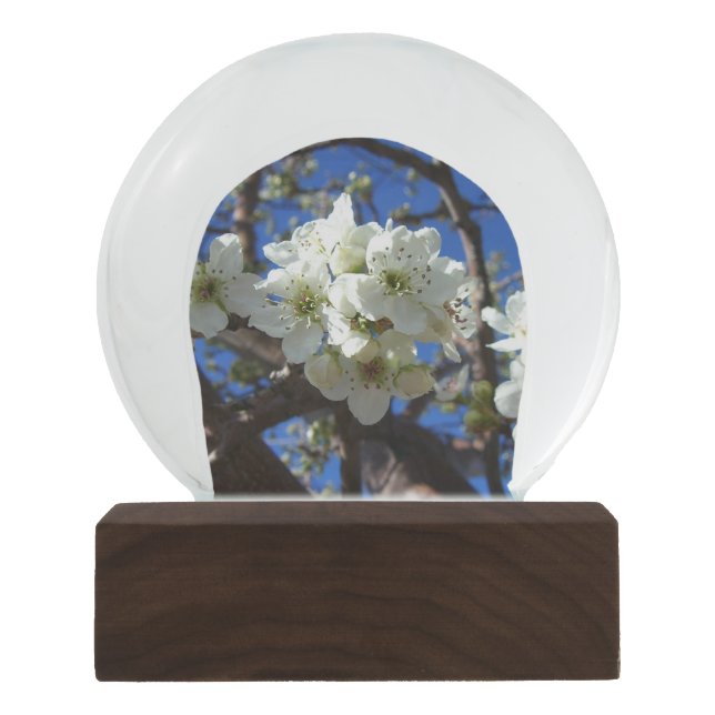 Witte bloesem Clusters Spring Flowering Pear Tree Sneeuwbol (Voorkant)
