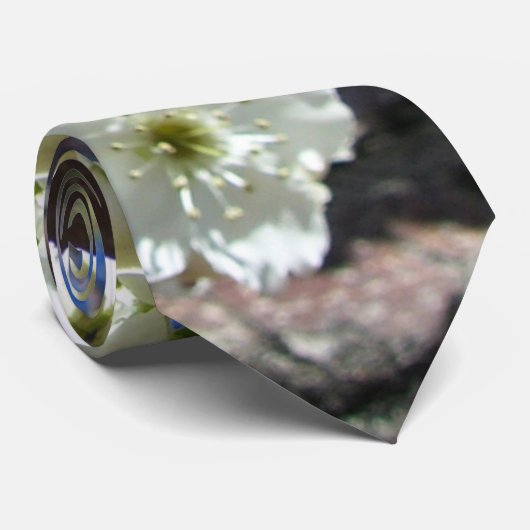 Witte bloesem Clusters Spring Flowering Pear Tree Stropdas (Opgerold)