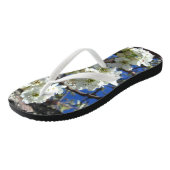 Witte bloesem Clusters Spring Flowering Pear Tree Teenslippers (Schuin)