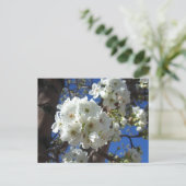 Witte bloesem I Ornamental Pear Tree Briefkaart (Staand voorkant)