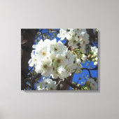Witte bloesem I Ornamental Pear Tree Canvas Afdruk (Voorkant)
