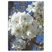 Witte bloesem I Ornamental Pear Tree Klembord (Achterkant)