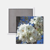 Witte bloesem I Ornamental Pear Tree Magneet (Voorkant / Achterkant)