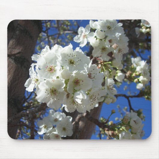Witte bloesem I Ornamental Pear Tree Muismat (Voorkant)