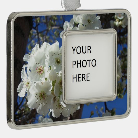 Witte bloesem I Ornamental Pear Tree Verzilverd Omlijst Ornament (Rechts)