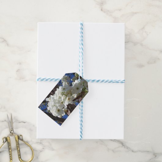 Witte bloesem II Lente bloei Cadeaulabel (Met Touw)