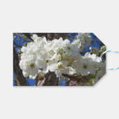 Witte bloesem II Lente bloei Cadeaulabel (Voorkant (Horizontaal))