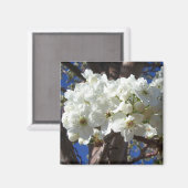 Witte bloesem II Lente bloei Magneet (Voorkant / Achterkant)