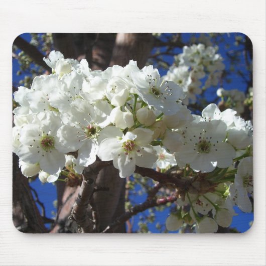 Witte bloesem II Lente bloei Muismat (Voorkant)