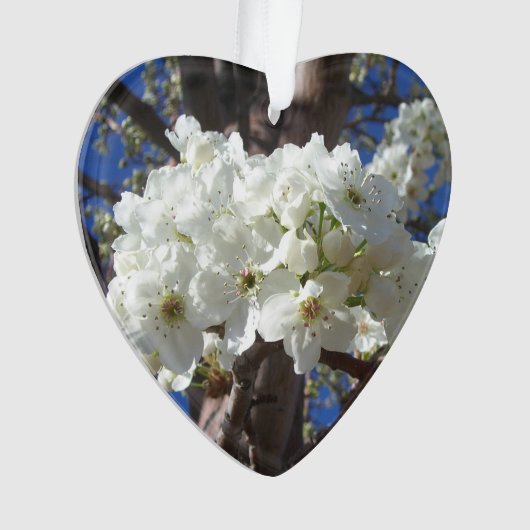 Witte bloesem II Lente bloei Ornament (voorkant)