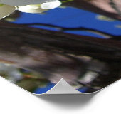 Witte bloesem II Lente bloei Poster (Hoek)