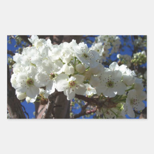 Witte bloesem II Lente bloei Rechthoekige Sticker