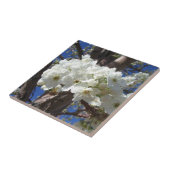 Witte bloesem II Lente bloei Tegeltje (Zijkant)