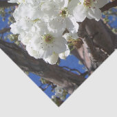 Witte bloesem II Lente bloei Tissuepapier (Detail)