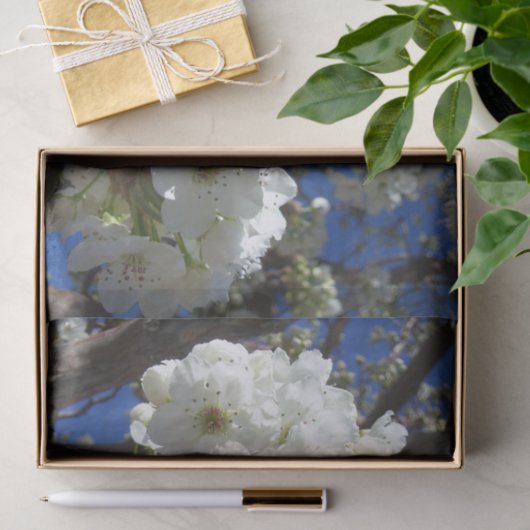 Witte bloesem II Lente bloei Tissuepapier (Geschenk)