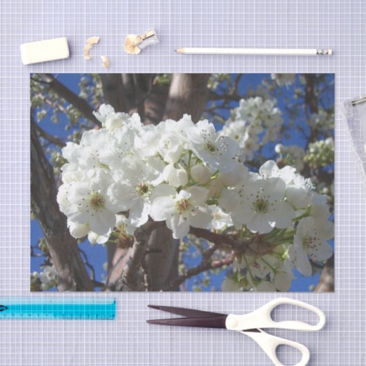 Witte bloesem II Lente bloei Tissuepapier (Craft)