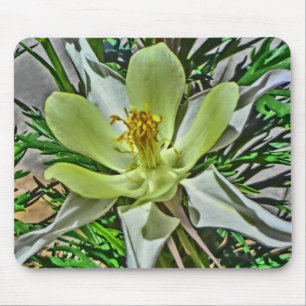 Witte bloesem muismat