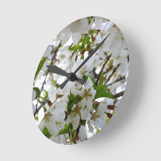 Witte Bloesem Ronde Klok (Hoek)