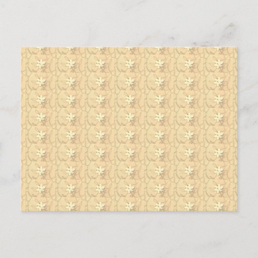 Witte Bloesems Abstracte Dankbaarheid Briefkaart (Voorkant)