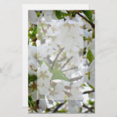 Witte bloesems, bloeiende kersenboom briefpapier (Voorkant / Achterkant)