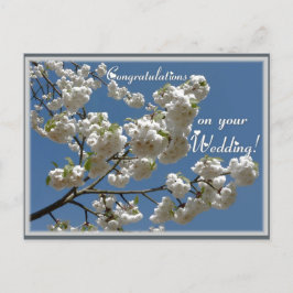 Witte bloesems briefkaart
