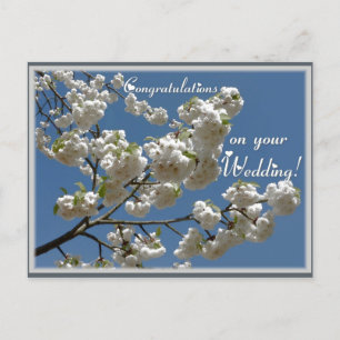 Witte bloesems briefkaart