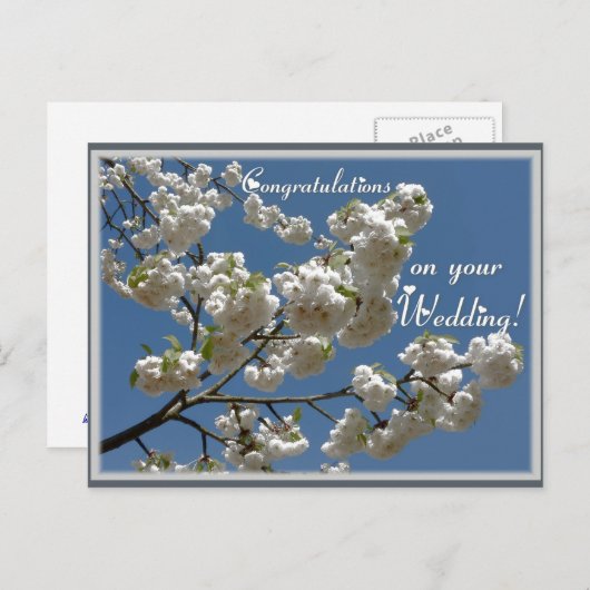 Witte bloesems briefkaart (Voorkant / Achterkant)