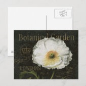 Witte bloesems en bladeren briefkaart (Voorkant / Achterkant)